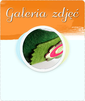 Galeria zdjęć